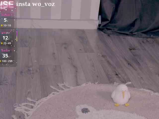wo_voz webcam
