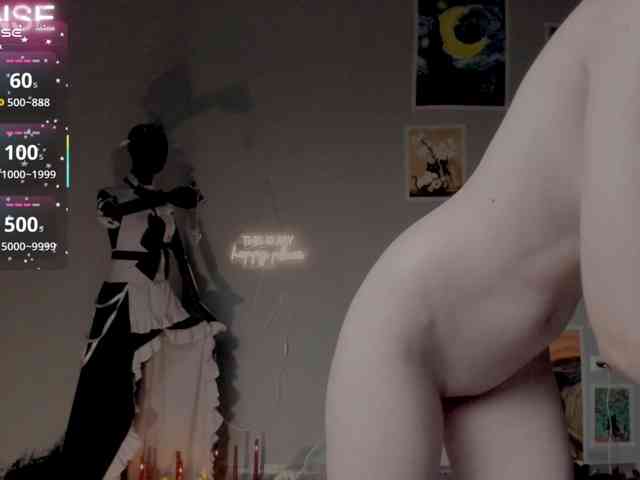 wo_voz webcam