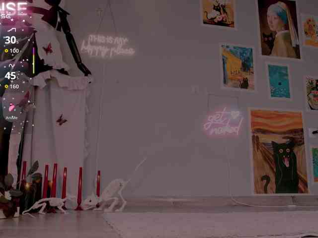 wo_voz webcam