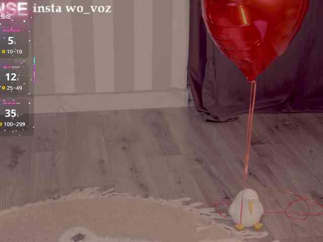 wo_voz webcam