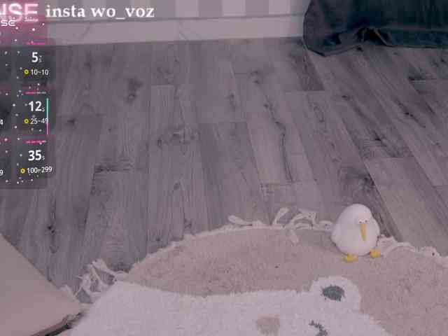 wo_voz webcam