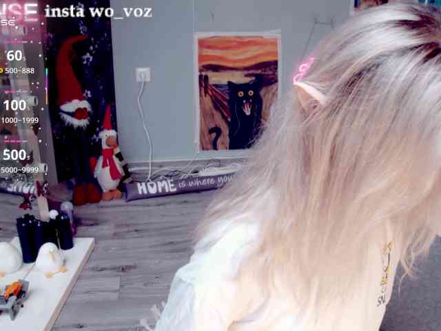 wo_voz webcam