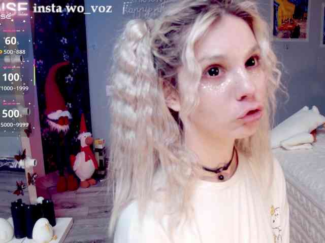wo_voz webcam
