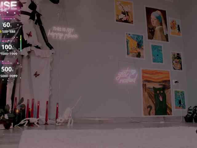 wo_voz webcam