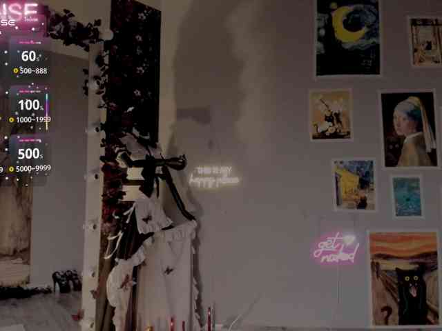 wo_voz webcam