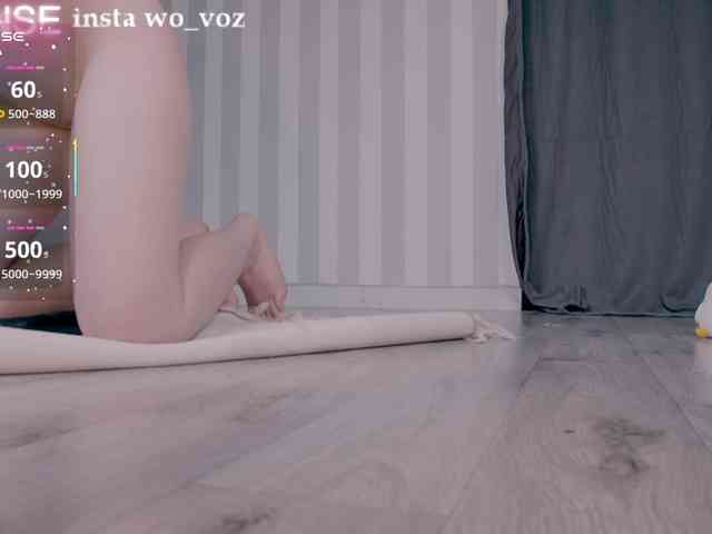wo_voz webcam