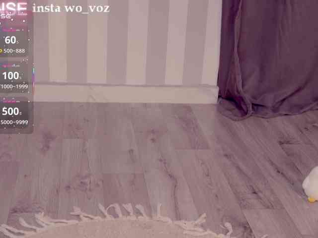 wo_voz webcam