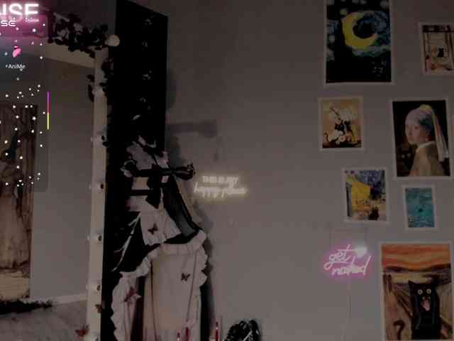 wo_voz webcam