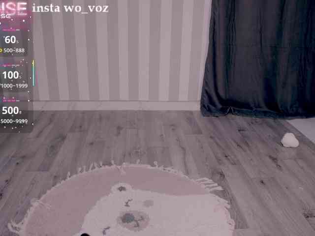 wo_voz webcam