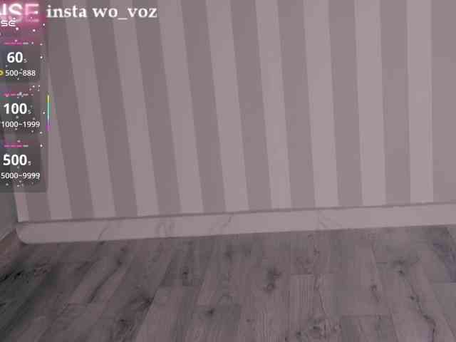 wo_voz webcam