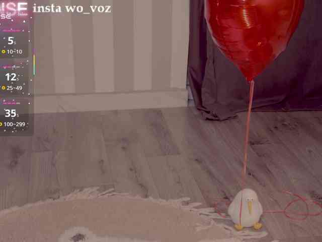 wo_voz webcam
