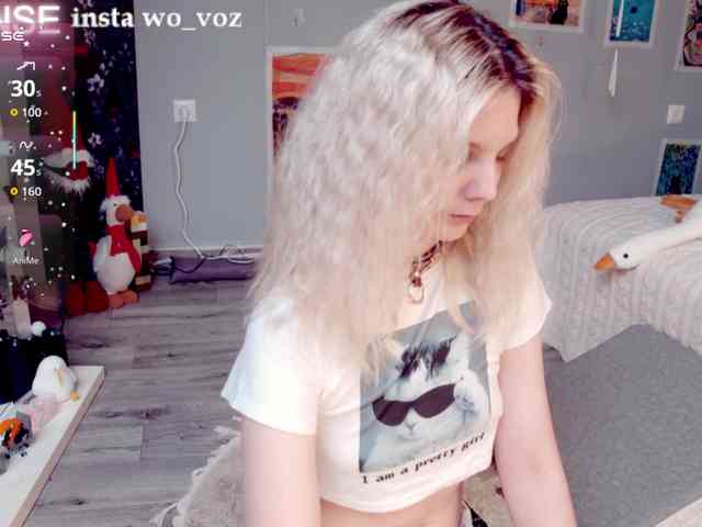 wo_voz webcam