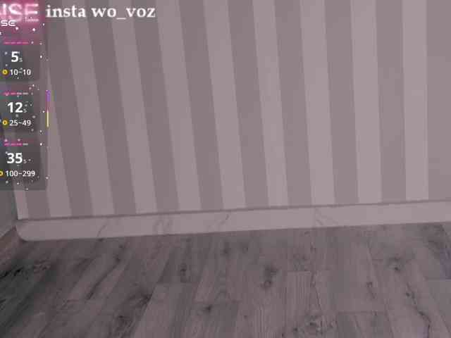 wo_voz webcam