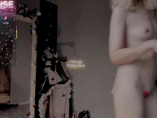 wo_voz webcam