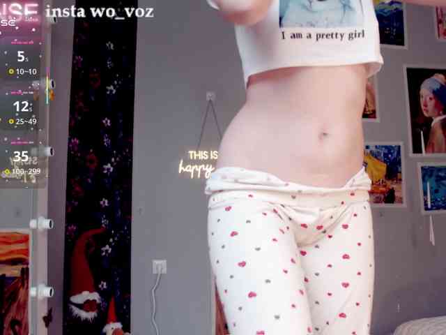 wo_voz webcam