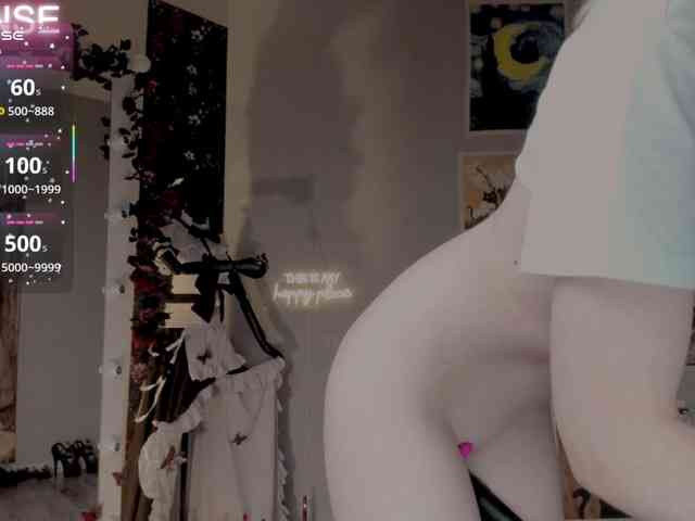 wo_voz webcam
