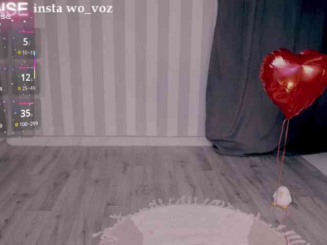 wo_voz webcam