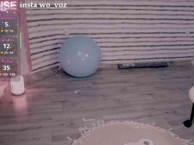 wo_voz webcam