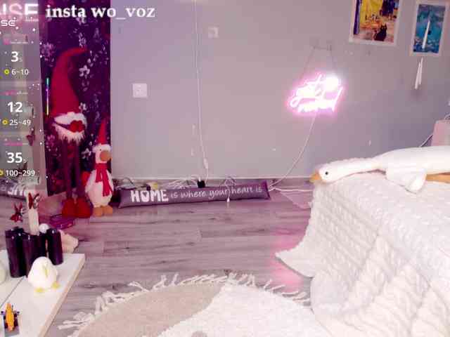 wo_voz webcam