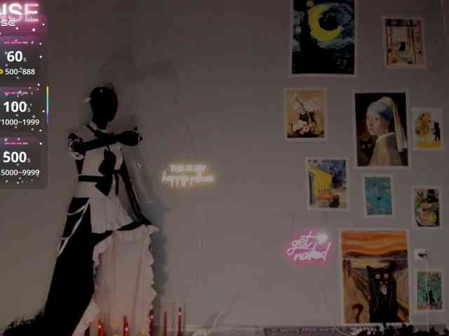 wo_voz webcam