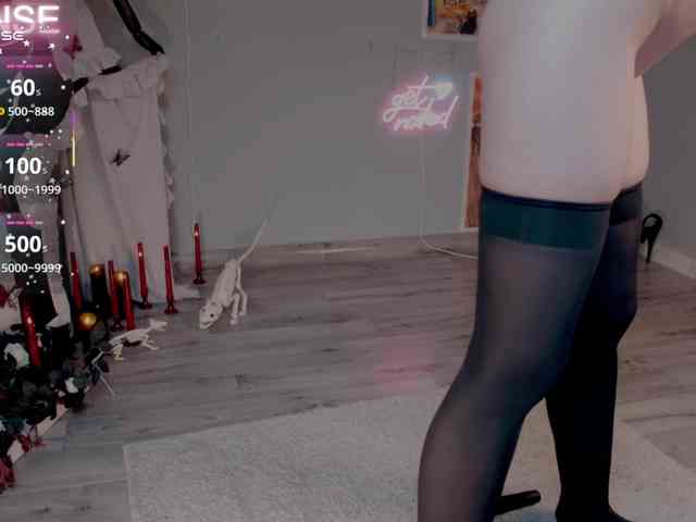 wo_voz webcam