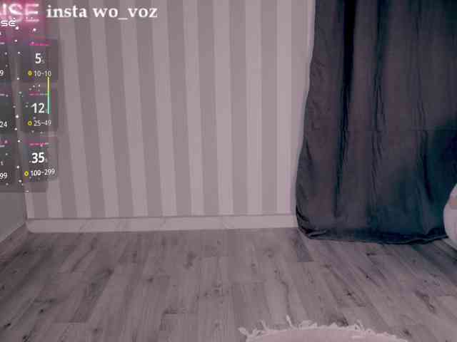 wo_voz webcam