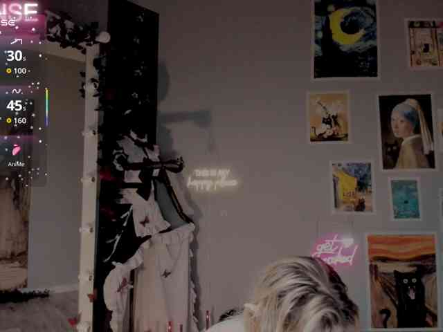 wo_voz webcam