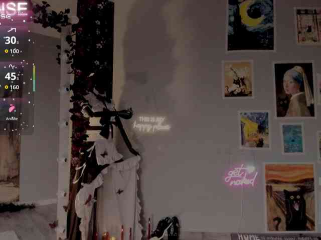 wo_voz webcam