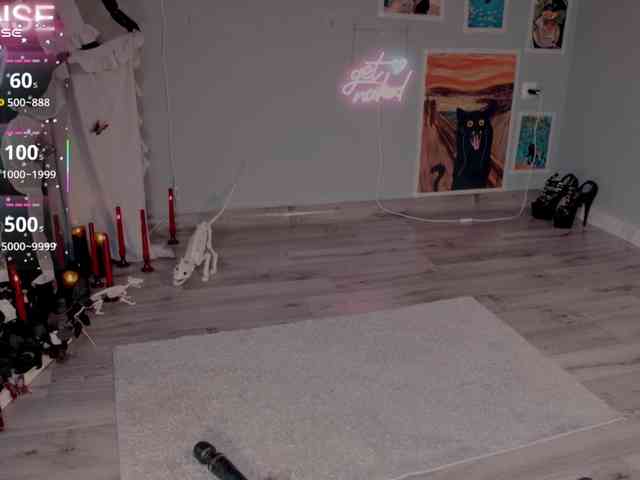 wo_voz webcam