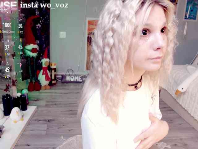 wo_voz webcam
