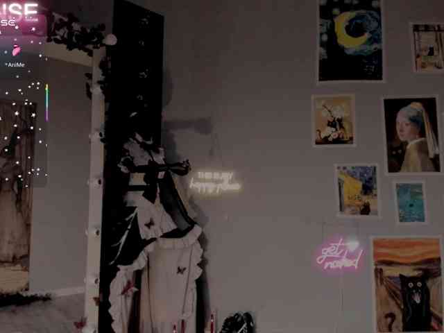 wo_voz webcam