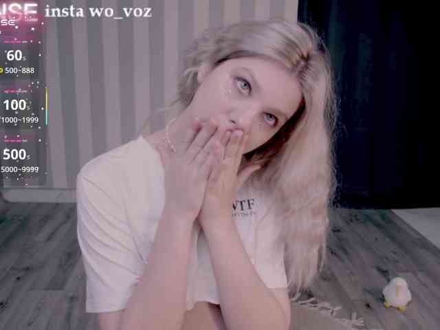 wo_voz webcam