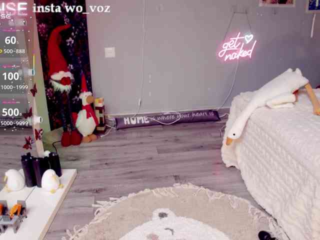 wo_voz webcam