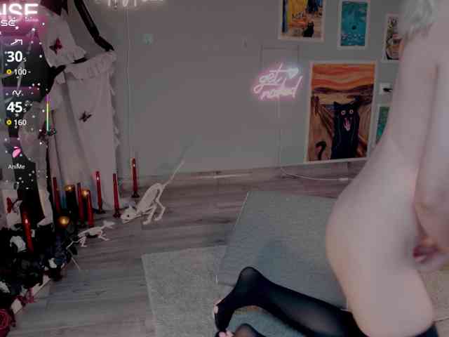wo_voz webcam
