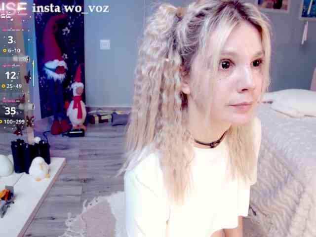 wo_voz webcam