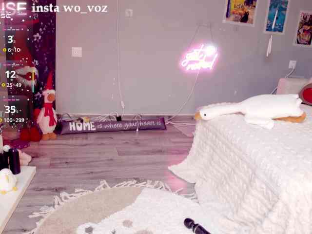 wo_voz webcam