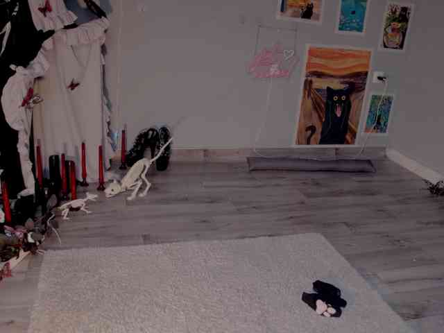 wo_voz webcam
