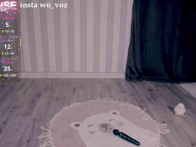 wo_voz webcam