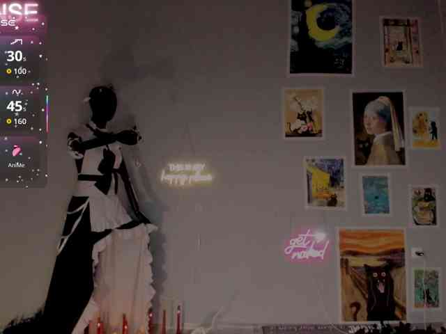 wo_voz webcam
