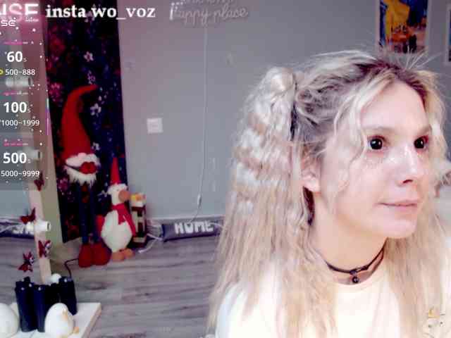 wo_voz webcam