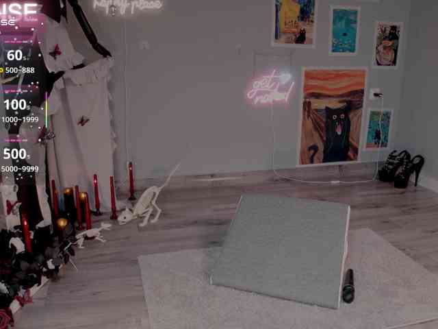 wo_voz webcam