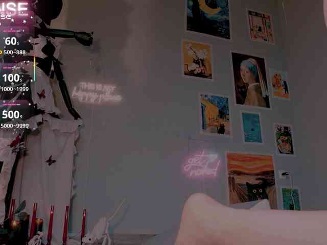 wo_voz webcam