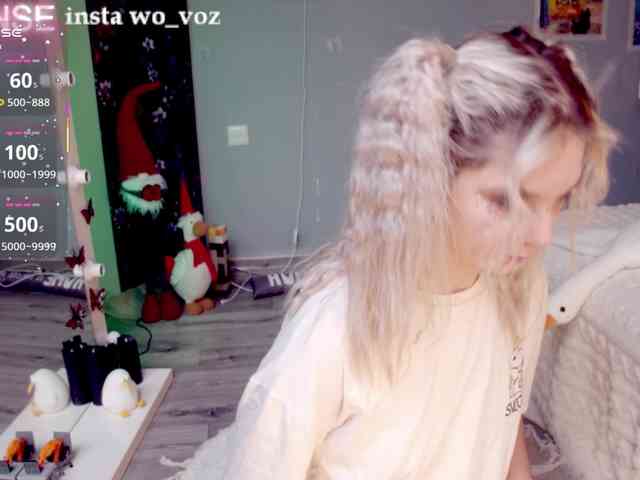 wo_voz webcam