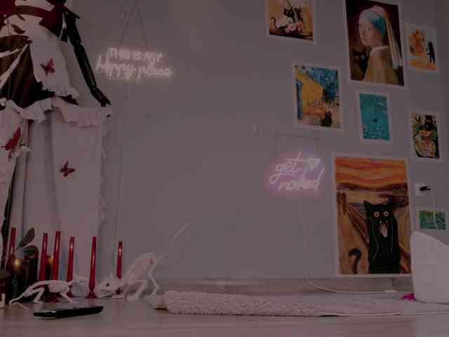 wo_voz webcam