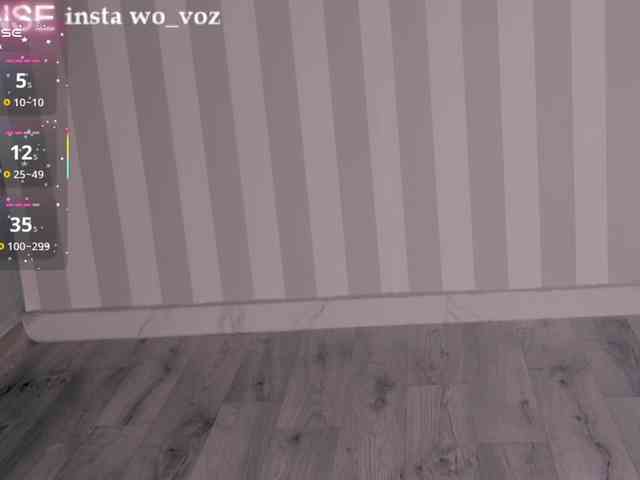 wo_voz webcam