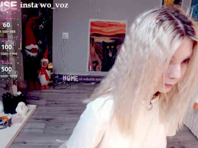 wo_voz webcam