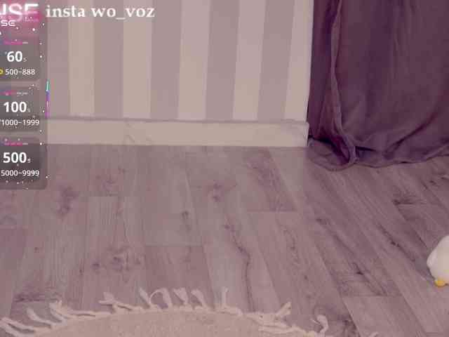 wo_voz webcam