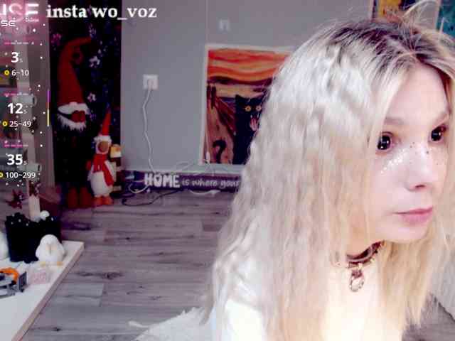 wo_voz webcam