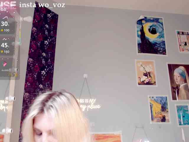 wo_voz webcam