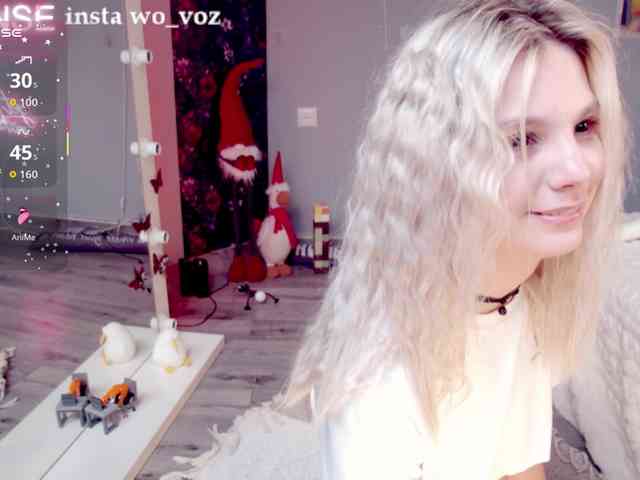 wo_voz webcam